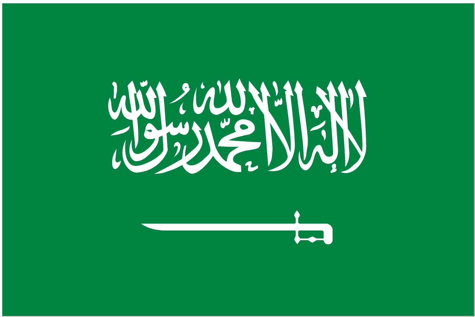saudi-arabia-flag-freelogovectors.net_.png